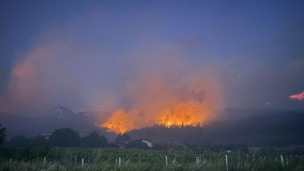 Sakarya Geyve Orman Yangini