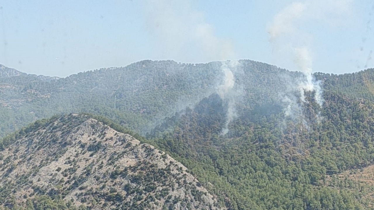 Anamur Orman Yangini