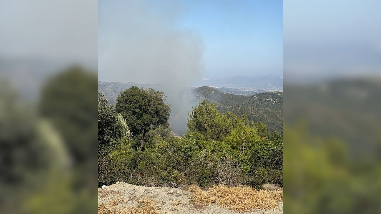 Hatay Orman Yangini-2