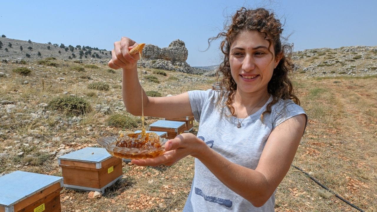 Mersin Arici