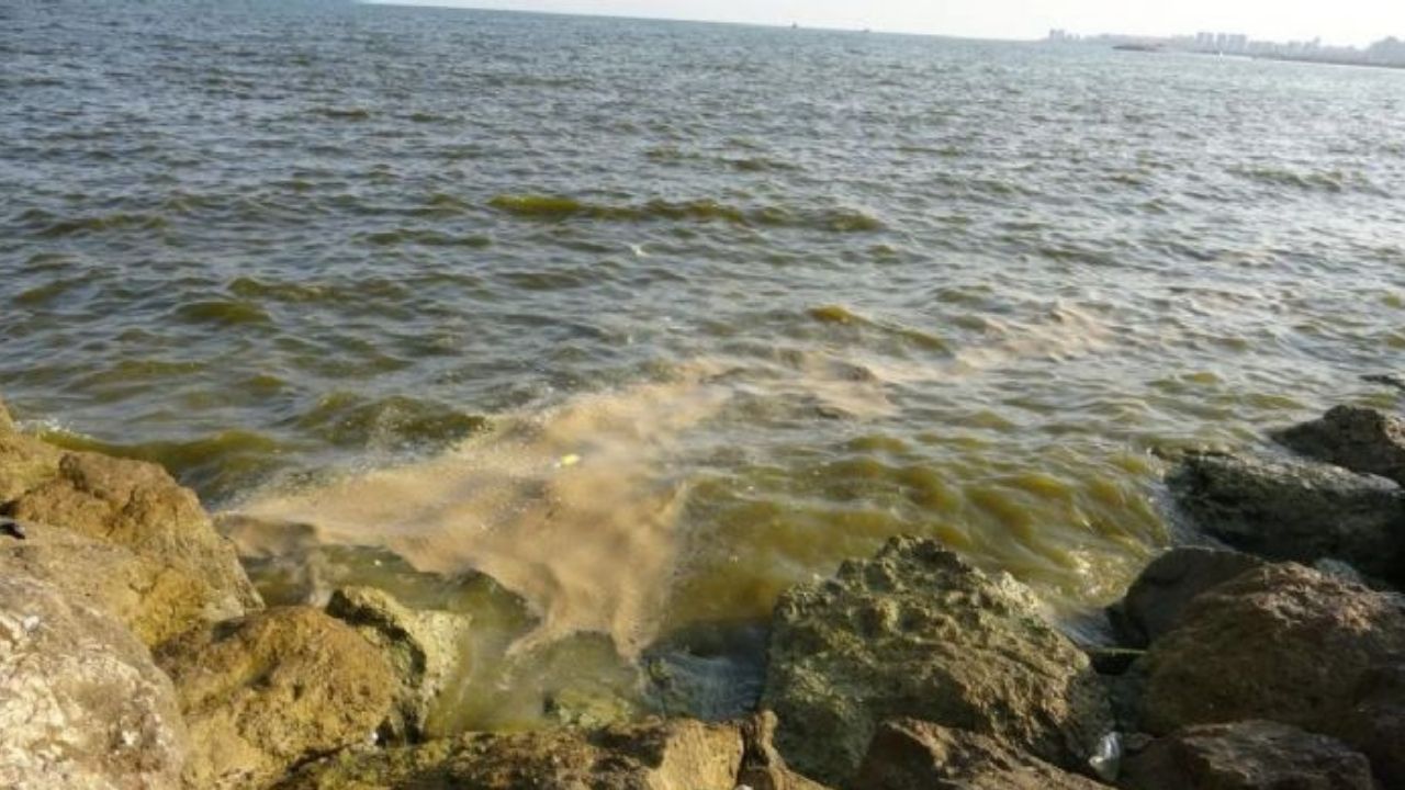 Mersin Denizleri 2
