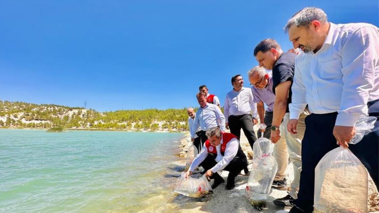 Mersin Surdurulebilir Balikcilik 1