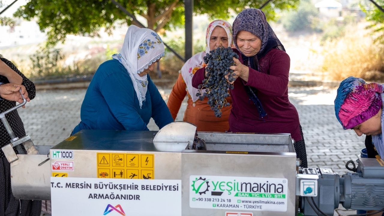 Mersin Üzüm Üreticisi2