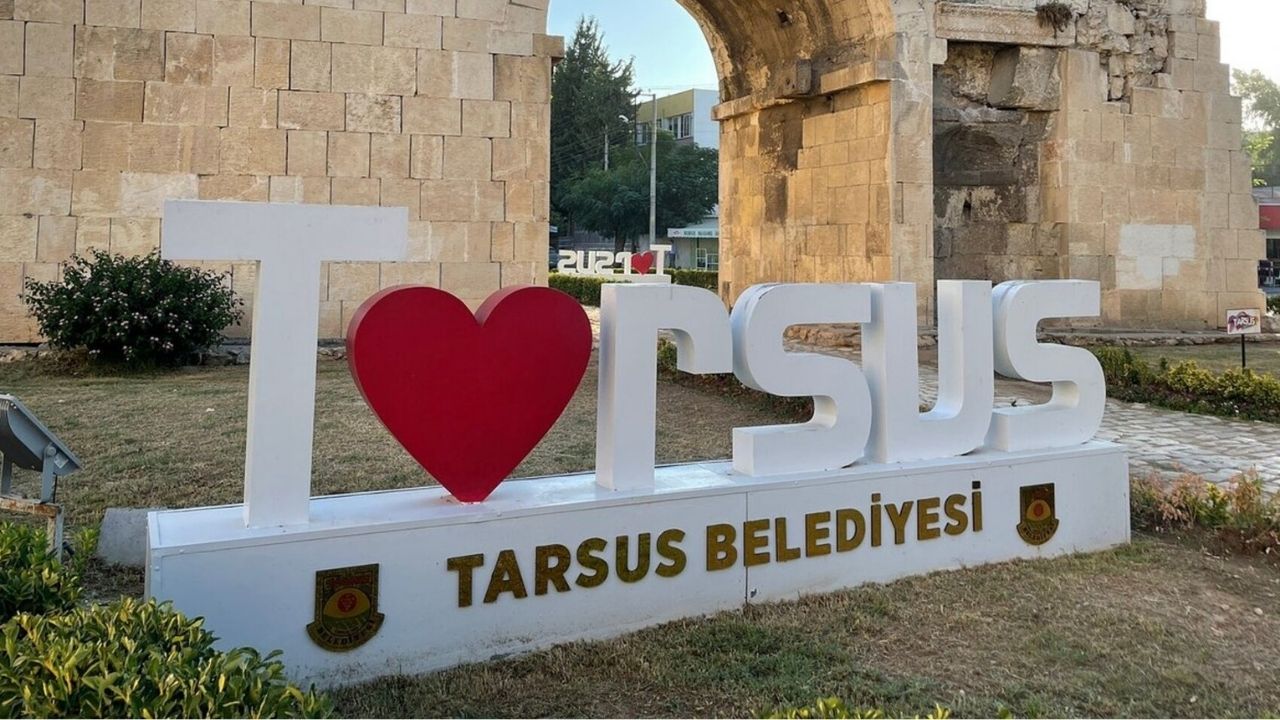 Mersin Zehirsiz Zeytin (3)