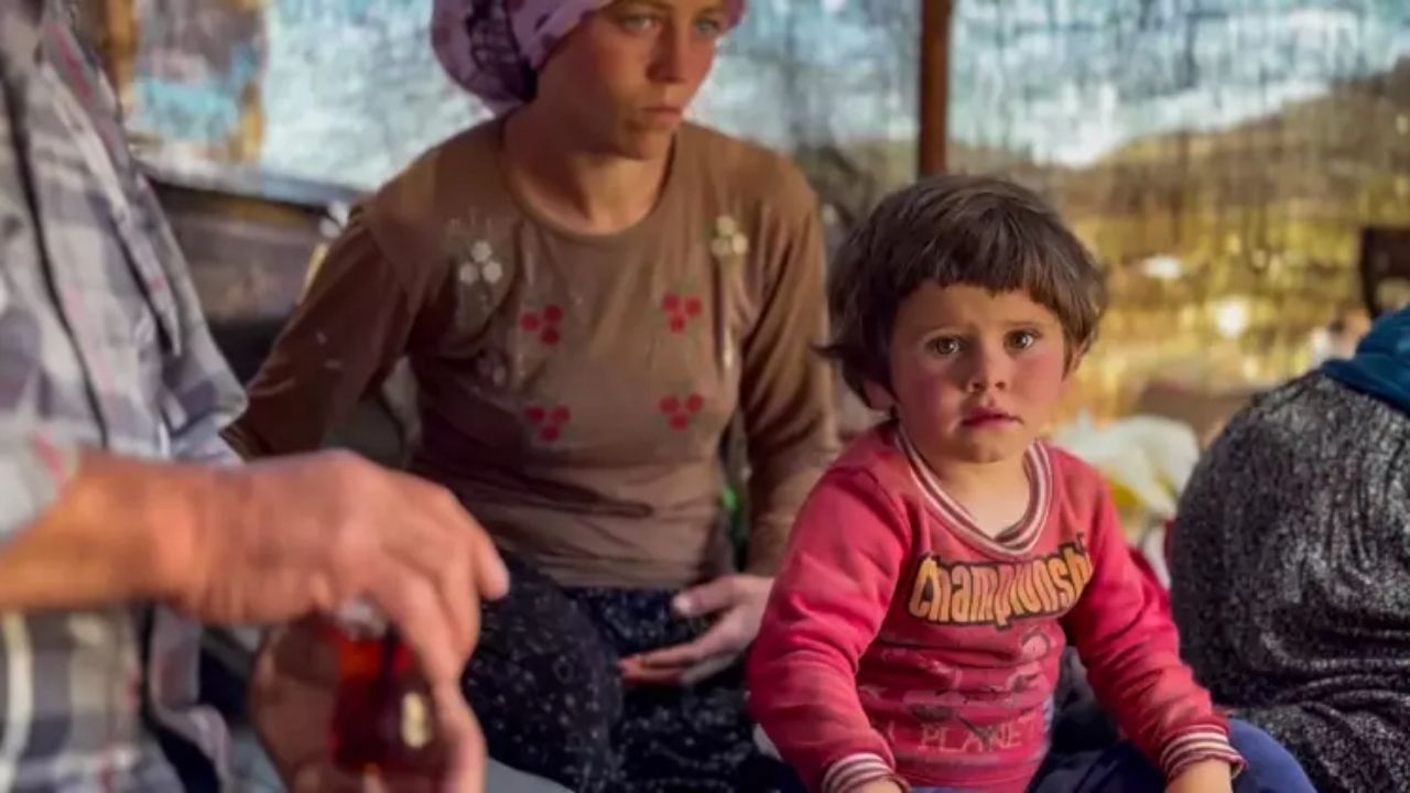 Ne Kadar Mersinlisiniz 2