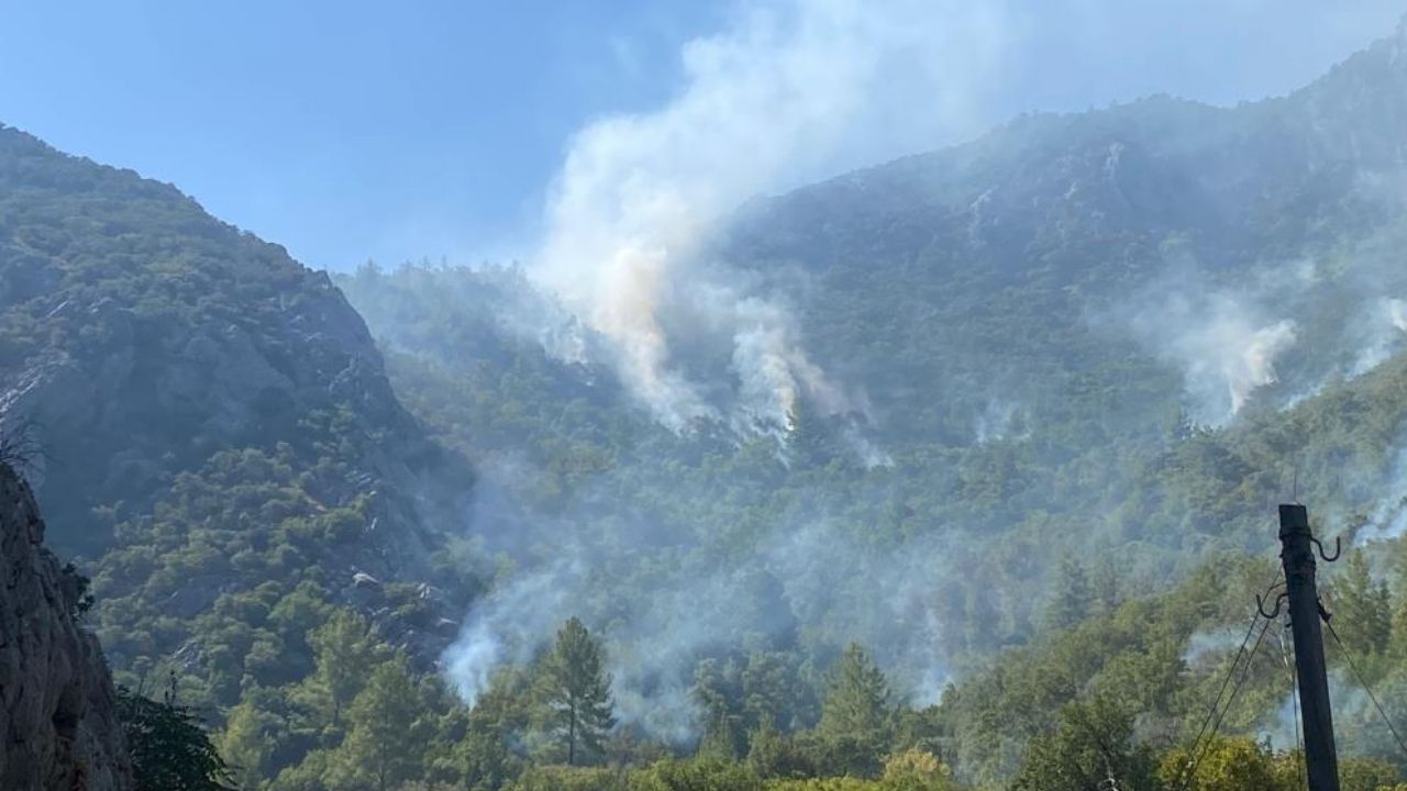 Silifke Anamur Yanginlari 2