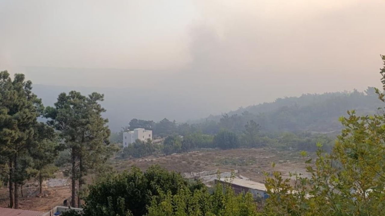 Silifke Orman Yanginlari 2