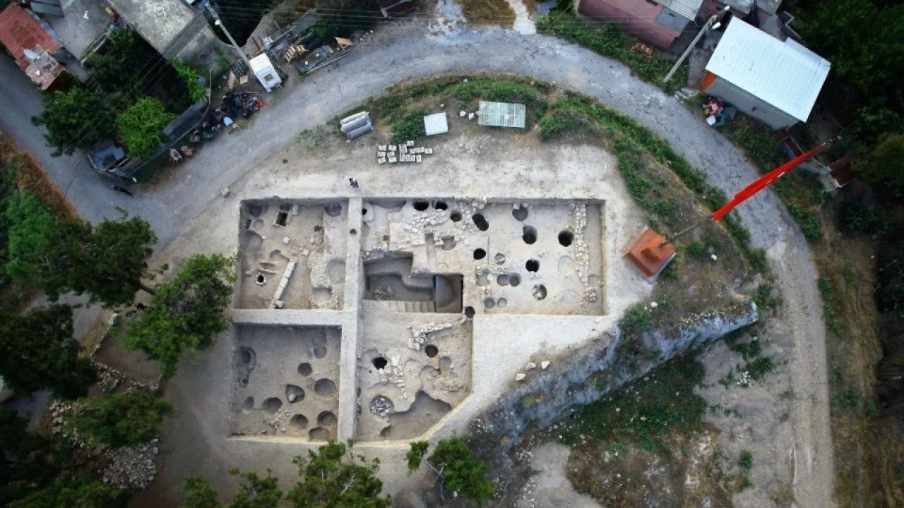 Tarsus 1