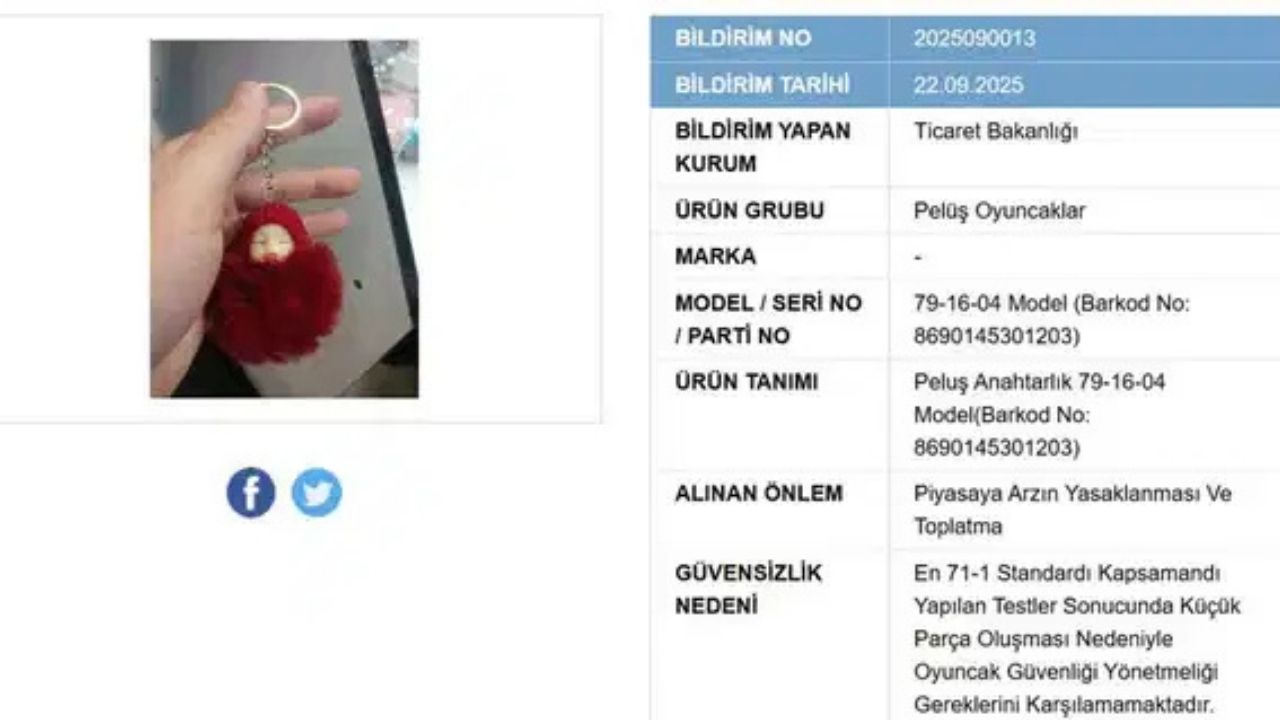 Pelus Oyuncaklar