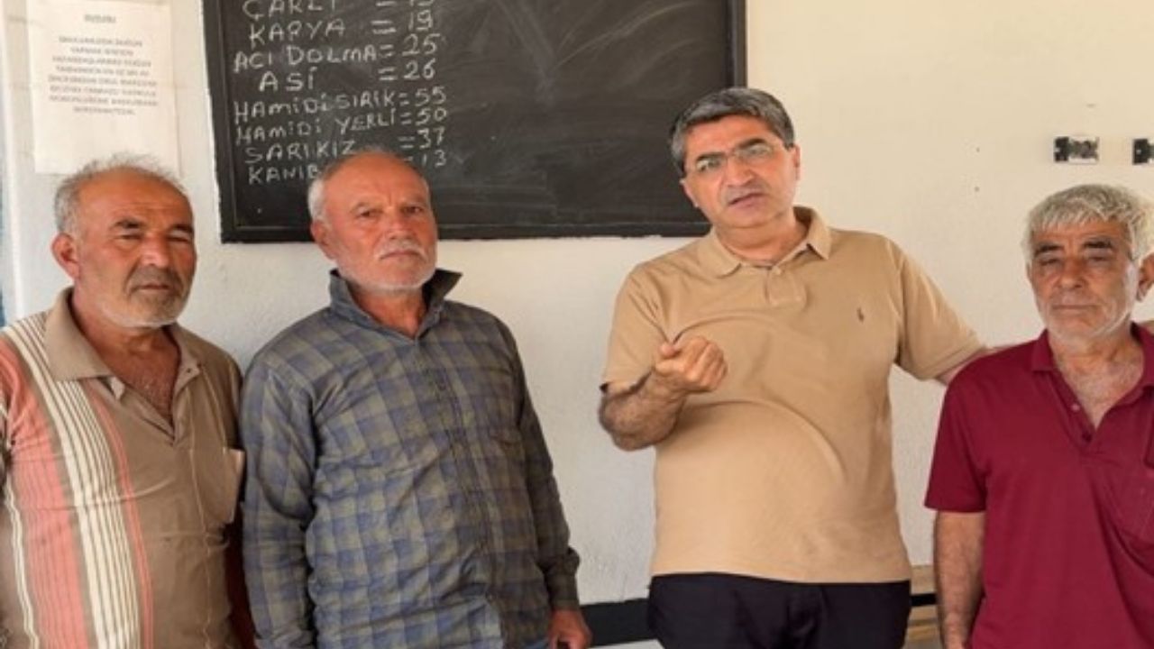 Silifke Ciftci 1